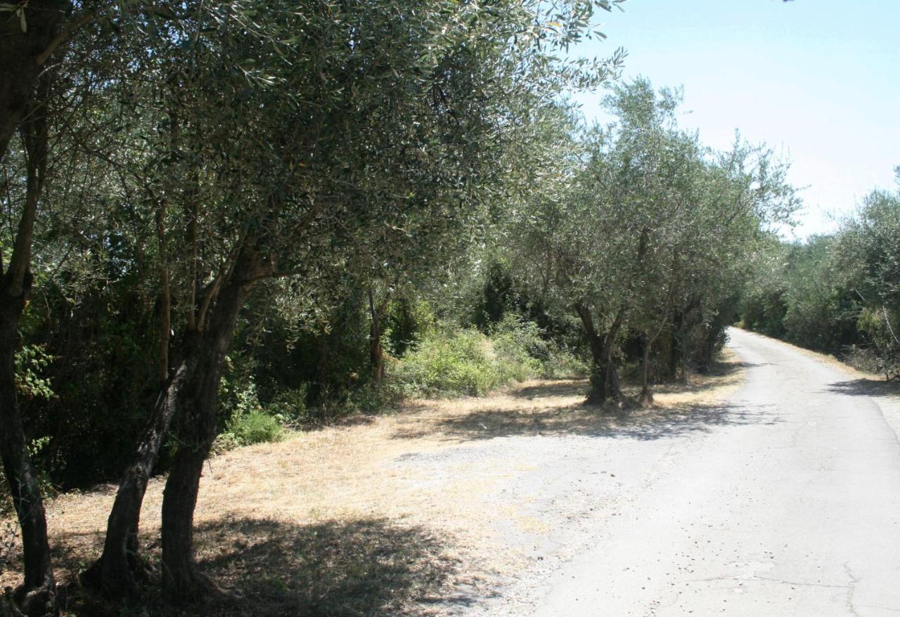 הוילה לוקה Poderi Lenzi מראה חיצוני תמונה
